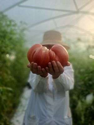 Cercetătorii din Buzău trag un semnal de alarmă printr-o scrisoare deschisă către premierul Bolojan